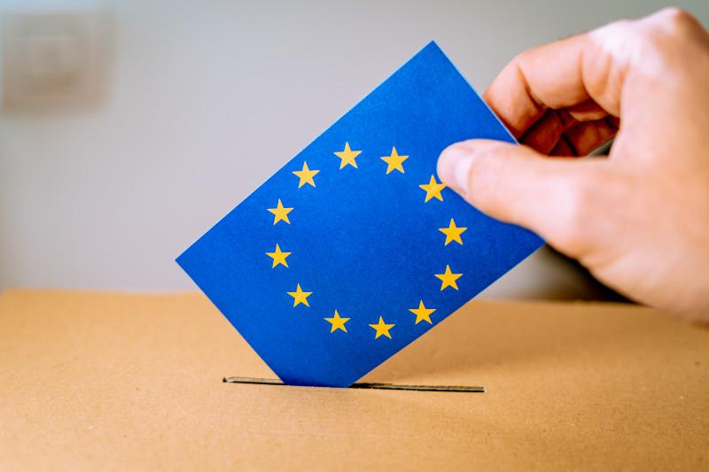 BEC: 12 formaţiuni politice şi alianţe electorale şi 4 independenţi vor participa la alegerile europarlamentare