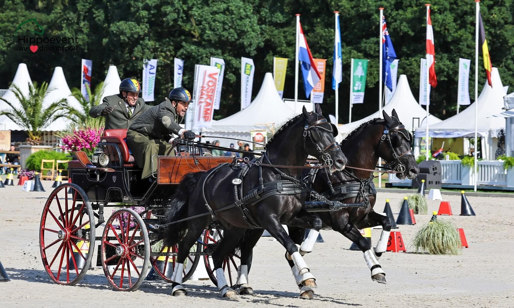 Concurs de frumuseţe la cai, ponei şi asini, la USAMV Cluj