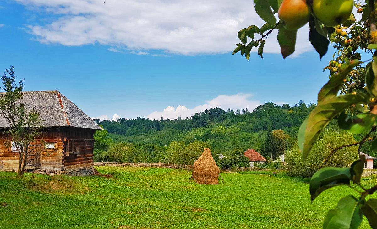 Maramures Breb 
