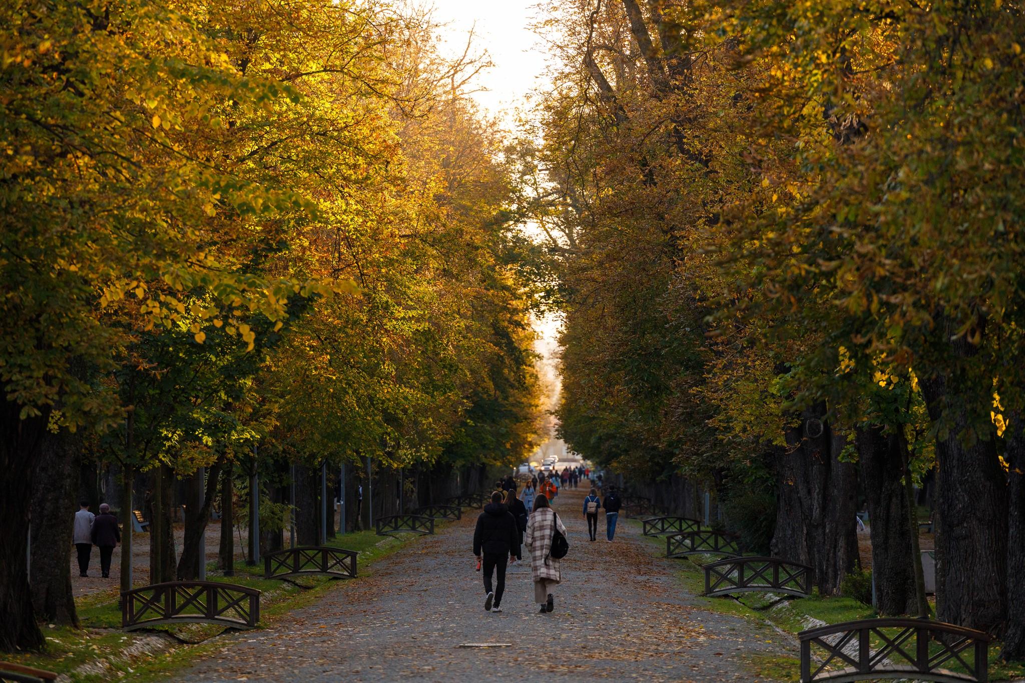 parcul central 1